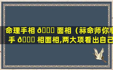 命理手相 🐋 面相（祘命师你享手 🐛 相面相,两大项看出自己的财运和运程）